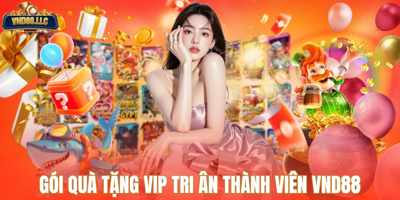 Gói quà tặng vip tri ân thành viên VND88
