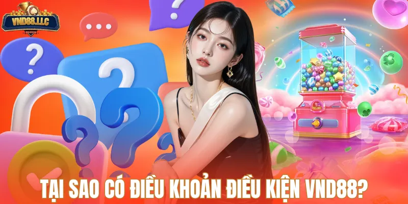 Tại sao có chính sách điều khoản điều kiện VND88?
